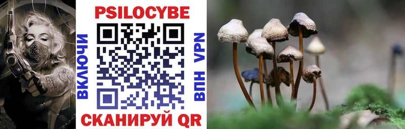 omg ССЫЛКА Светлоград Псилоцибиновые грибы Psilocybe