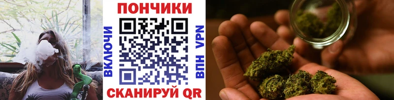 Бошки Шишки AK-47  где купить наркотик  МЕГА сайт  Светлоград 